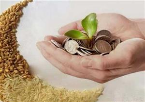 زكاة الفطر.. تعرف على حكمها ومقدارها وهل تجب على الجنين في بطن أمه