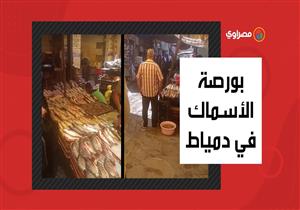 بورصة الأسماك اليوم.. جولة في سوق "القنطرة" بدمياط