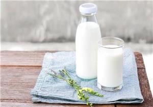 الحليب الحيواني أم النباتي.. أيهما أفضل لصحة الجسم؟