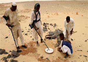 معبأة بالذهب.. ضبط 80 جوالًا بحوزة سائق سيارة في أسوان