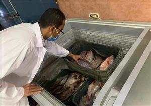 تموين الوادي الجديد يستعد لعيد الأضحى (صور)