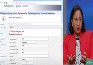 قطاع الأعمال العام: نستهدف 100 مليون مستهلك خارجي عن طريق "الكتالوج" الإلكتروني