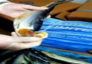  صور.. ضبط 3.7 طن لحوم وأسماك مجهولة المصدر في الشرقية