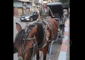 "الحنطور يقاوم".. ركوبة الأكابر والفقراء باقية في البحيرة (فيديو)