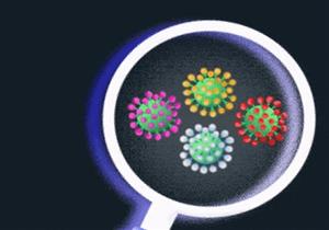 بارقة أمل.. اكتشاف جسم مضاد يحمي من جميع سلالات فيروس كورونا