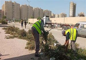 رفع 15 ألف طن قمامة من شوارع الإسكندرية - صور