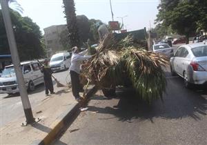 "الجيزة": رفع 9 آلاف طن مخلفات صلبة بطريق برطس بأوسيم والأحياء