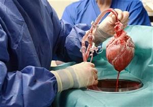 أول جراحة لزراعة قلب خنزير بالإنسان "تغطية خاصة"