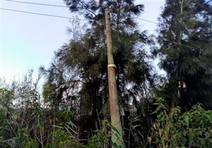 مصرع شاب صعقًا بكهرباء عمود إنارة في بورسعيد