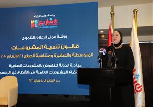 "تنمية المشروعات": 15 مليون جنيه الحد الأقصى للتمويل بعد القانون الجديد