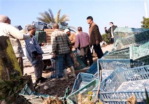 بالفيديو.. إعدام مضبوطات "مصنع جبن الجميد" بالمدفن الصحي في المنوفية