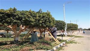 صور.. إزالة 10 كسارات للذهب في أسوان