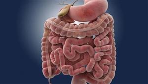 5 عادات يومية تساعد على تحسين صحة الأمعاء