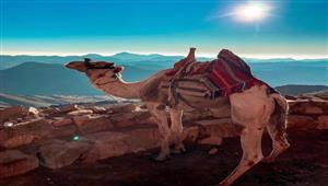 درجة الحرارة 3 تحت الصفر.. 600 سائح يصعدون جبل موسى بسانت كاترين - صور