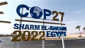 "منصات التواصل" المصدر الأول لمتابعة المصريين لـ COP 27 في استطلاع "بحوث الرأي العام"