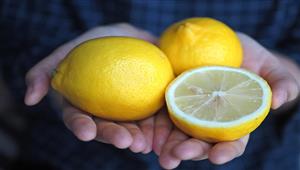 طبيبة تغذية تكشف فوائد سحرية في قشر الليمون