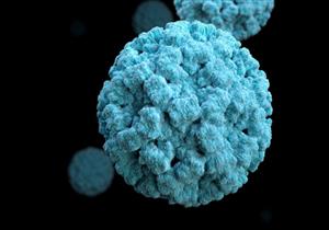 فيروس جديد يتفشى في بريطانيا- هل يستدعي القلق؟