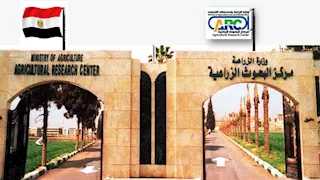 متبقيات المبيدات" يختتم تدريبًا دوليًا لمتخصصين من الكاميرون