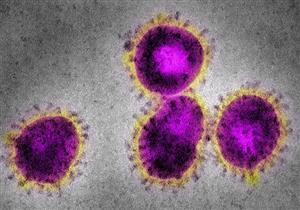 ارتفاع أعداد الإصابات بفيروس غامض في الولايات المتحدة