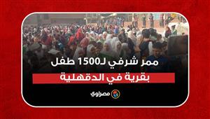 حفظوا القرآن.. ممر شرفي لـ1500 طفل بقرية في الدقهلية