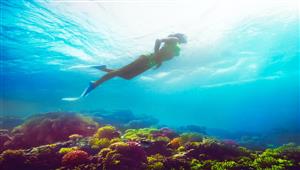 مصر الأولى أفريقياً وال5 على الشرق الأوسط وشمال أفريقيا في مؤشر تنمية السياحة لعام 2021 