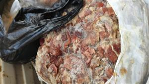 صور.. ضبط 33 طن لحوم غير صالحة للاستهلاك الآدمي في الإسكندرية 