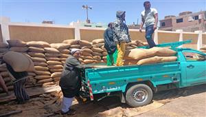 توريد 324 طن قمح لصوامع التموين بالإسكندرية