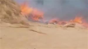 النار أكلت محصول ألف فدان و 8 مواشي.. السيطرة على حريق شونة كتان فى الغربية 