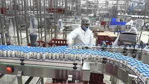 الزراعة: رفع كفاءة 218 مركزًا لتجميع الألبان.. وصغار المربين يمتلكون 80% من الثروة الحيوانية