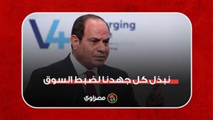 السيسي: المفروض الأسعار تبقى أكتر من كده بكتير لكننا نبذل كل جهدنا لضبط السوق