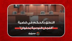 بينهم أحداث وسيدة.. أحكام تتراوح ما بين المؤبد إلى البراءة لـ 22 متهما بقضية "اللجان النوعية بحلوان"