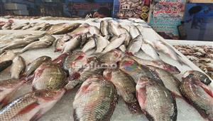 ارتفاع المكرونة السويسي وتراجع الجمبري.. أسعار السمك اليوم في سوق العبور