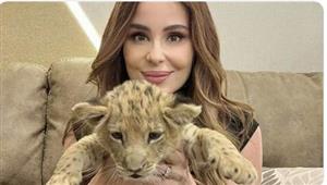 بعد واقعة الأسد.. كارول سماحة بـ فستان جريء في أحدث ظهور لها