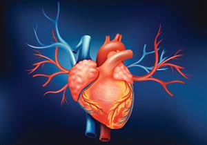 خبراء: قلوب المتوفين بكورونا صالحة لعمليات زرع القلب