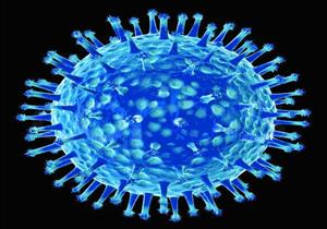 العثور على فيروس شلل الأطفال في الصرف الصحي في نيويورك