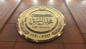 تمكين المرأة وعمالة الأطفال.. برلماني يضع روشتة مواجهة الزيادة السكانية