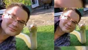  رجل يلتقط سيلفي مع ثعبان ضخم وسام 