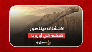 بطول 25 متراً.. اكتشاف ديناصور ضخم في أوروبا