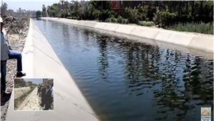 بـ 2 مليار جنيه.. ترع الجيزة تجني ثمار المشروع القومي للتبطين- صور