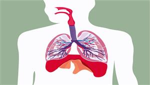 6 علامات يصدرها جسمك تنذرك بتراكم الدهون على الرئتين