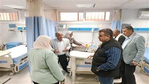 بالصور- نائب محافظ أسوان تطمئن على المصابين في تصادم ميكروباصين 