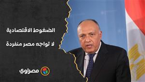 سامح شكري لـ بلينكن: الضغوط الاقتصادية لا تواجه مصر منفردة.. ونتطلع للمزيد من الاستثمارات الأمريكية