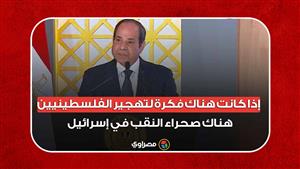 السيسي: إذا كانت هناك فكرة لتهجير الفلسطينيين هناك صحراء النقب في إسرائيل