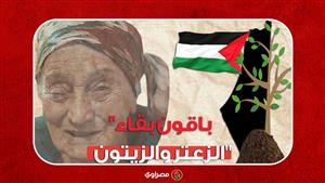 "باقون بقاء الزعتر والزيتون"...ما السر في هذه الجملة الفلسطينية؟