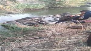 إصابة 3 في انقلاب سيارة ملاكي داخل ترعة الفاروقية بسوهاج