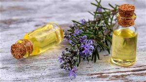 "زيت الروزماري.. سر جمال الشعر"