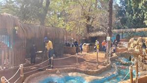 الخدمات البيطرية: الاستعانة بخبراء دوليين لتطوير حديقة حيوان الجيزة