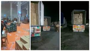 محافظ الوادي الجديد: تصدير تمور إلى كندا - صور