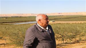 محافظ الوادي الجديد يوجه بحصر مساحات مزارع الزيتون