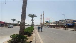 توقعات بحدوث سيول.. عاصفة رملية تضرب جنوب سيناء - صور وفيديو 